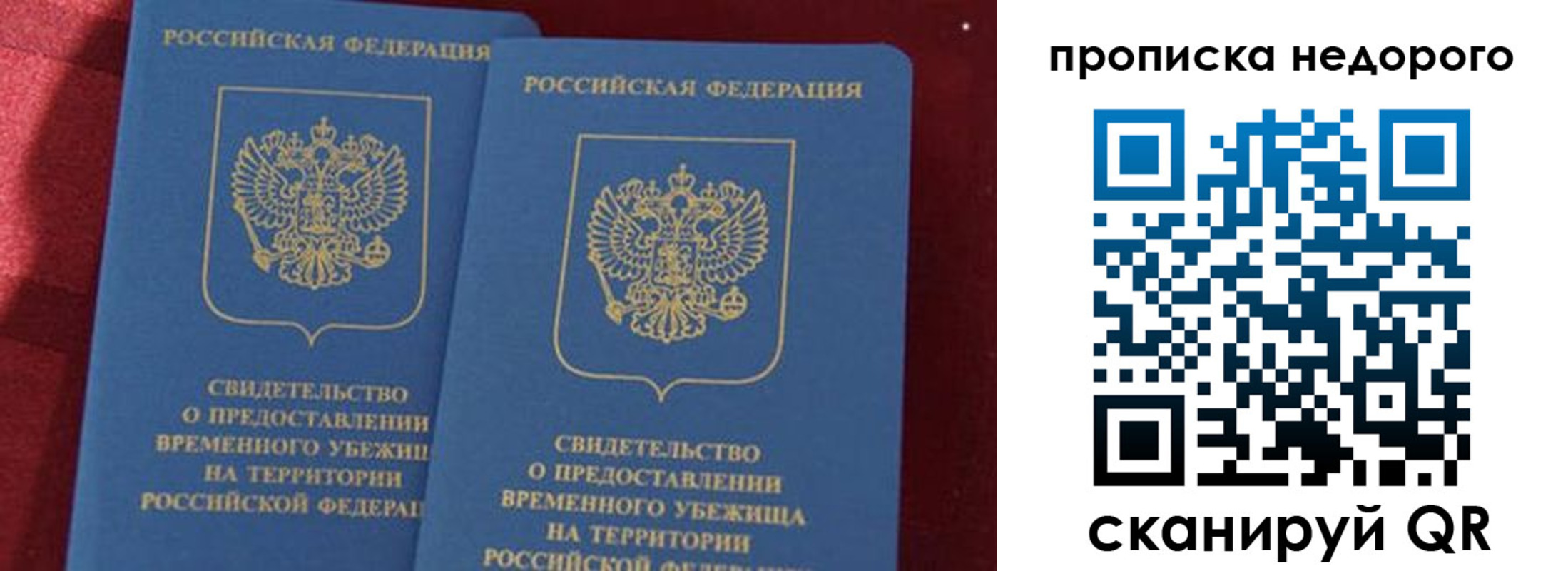 прописка гарантия в Медногорске